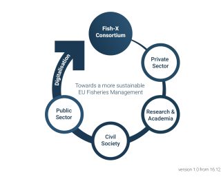 Fish-X Stakeholders' Cycle